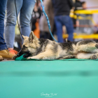 20251115_UCFAS_2048p_26