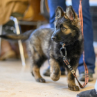 20251115_UCFAS_2048p_260