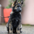 20251115_UCFAS_2048p_261