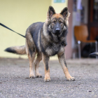 20251115_UCFAS_2048p_262