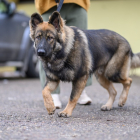 20251115_UCFAS_2048p_263