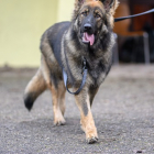 20251115_UCFAS_2048p_264