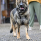 20251115_UCFAS_2048p_265