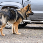 20251115_UCFAS_2048p_266