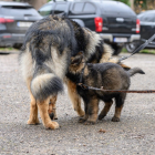 20251115_UCFAS_2048p_267