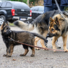 20251115_UCFAS_2048p_268