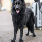 20251115_UCFAS_2048p_269