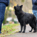 20251115_UCFAS_2048p_270