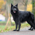 20251115_UCFAS_2048p_271