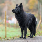 20251115_UCFAS_2048p_272