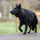 20251115_UCFAS_2048p_273