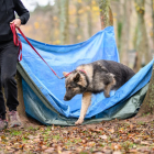 20251115_UCFAS_2048p_274