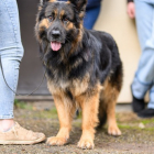 20251115_UCFAS_2048p_279