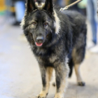 20251115_UCFAS_2048p_29