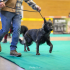 20251115_UCFAS_2048p_30