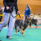 20251115_UCFAS_2048p_32