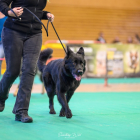 20251115_UCFAS_2048p_33