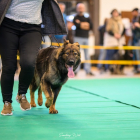 20251115_UCFAS_2048p_35