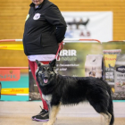 20251115_UCFAS_2048p_39