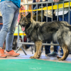 20251115_UCFAS_2048p_42