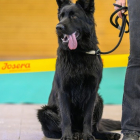 20251115_UCFAS_2048p_43