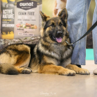 20251115_UCFAS_2048p_44