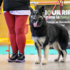 20251115_UCFAS_2048p_45