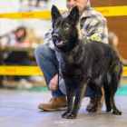 20251115_UCFAS_2048p_46