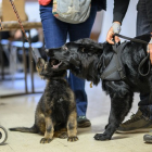 20251115_UCFAS_2048p_47