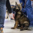 20251115_UCFAS_2048p_48