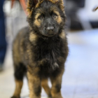 20251115_UCFAS_2048p_49