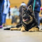 20251115_UCFAS_2048p_50