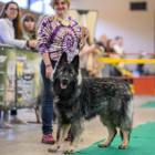 20251115_UCFAS_2048p_58