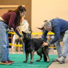 20251115_UCFAS_2048p_6