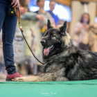 20251115_UCFAS_2048p_61