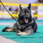 20251115_UCFAS_2048p_62