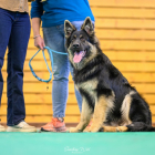 20251115_UCFAS_2048p_63