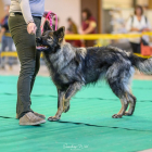 20251115_UCFAS_2048p_65