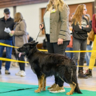 20251115_UCFAS_2048p_67