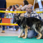 20251115_UCFAS_2048p_69