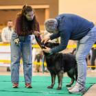 20251115_UCFAS_2048p_7