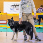 20251115_UCFAS_2048p_70