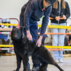 20251115_UCFAS_2048p_80