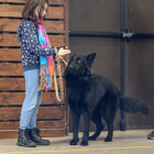 20251115_UCFAS_2048p_85