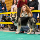 20251115_UCFAS_2048p_9