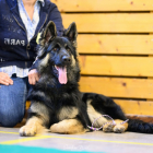 20251115_UCFAS_2048p_91