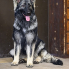 20251115_UCFAS_2048p_92