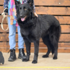 20251115_UCFAS_2048p_93