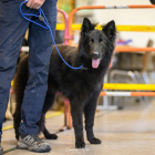 20251115_UCFAS_2048p_94