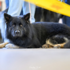 20251115_UCFAS_2048p_99